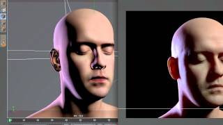 Tip  94 Faster Subsurface Scattering in Cinema 4D R13 [upl. by Nwad980]