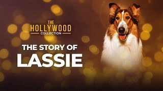 The Story Of Lassie  The Hollywood Collection [upl. by Adarbil]