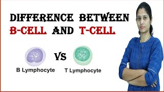 Difference between B cell and T cell  B cell vs T cell in Hindi [upl. by Sharity]