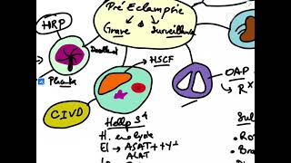 LA PRÉ ÉCLAMPSIE ET L’ÉCLAMPSIE  RÉSUMÉ PUSH [upl. by Bobker]