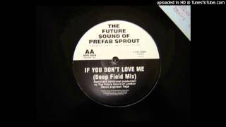 Prefab SproutIf You Dont Love Me FSOL Deep Field Mix [upl. by Nevek]