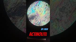 ACTINOLITE mineral under a microscope mineralogy opticalmineralogy [upl. by Tnemelc]