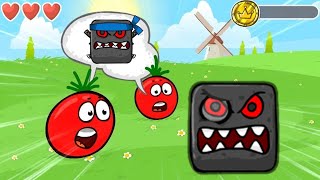 Tomato Ball  All Levels  Desert Hills  Green Hills  Slow Motion  Gameplay Volume 21 [upl. by Orlan]