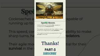 cockroach cockroach movement scibioexplorer [upl. by Tasia]