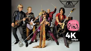 Aerosmith Pink  2014 Remastered 4K60FPS Video [upl. by Nellaf]