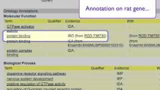 Introduction to Biomedical Ontologies 2 Anatomy of an Ontology Annotation part 1 [upl. by Godspeed]