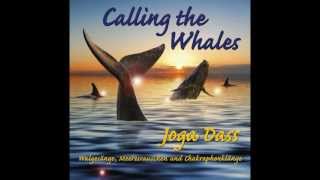 Joga Dass quotCalling the Whalesquot Call 4 [upl. by Filberte]