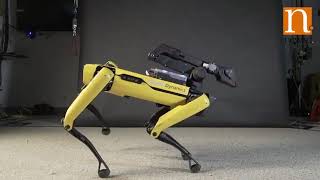 Boston Dynamics’ robo dog has some mustsee dance moves [upl. by Hamforrd]