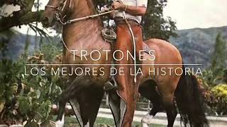 Los Mejores Caballos TROTONES GALOPEROS De La Historia [upl. by Idnod]