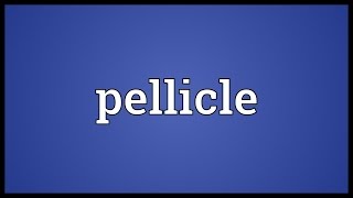 Pellicle Meaning [upl. by Anatak]