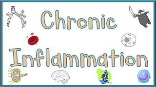 Chronic Inflammation  Causes Morphologic features Mediators Examples amp Clinical manifestations [upl. by Estas579]