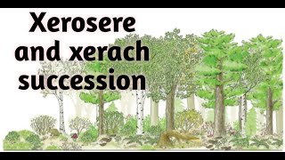 what is xerosere succession in Urdu [upl. by Selie]