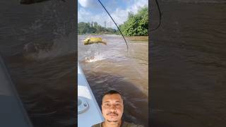 Quase todo pescador já deixou um peixe desse escapar [upl. by Anirpas]