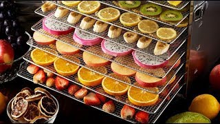 Top 5 BEST FOOD DEHYDRATORS  Top 5 Food Dehydrators  Top 5 Dehydrators Review [upl. by Ecidnac59]