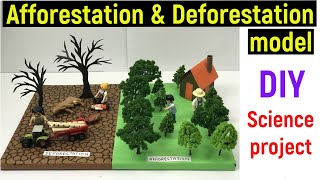 afforestation and deforestation model  science project model  afforestation  deforestation  diy [upl. by Annej]