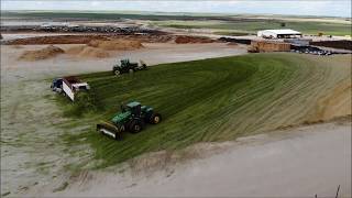 Triticale Harvest 2019 [upl. by Geno]