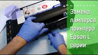 Замена абсорбера чернил памперс принтеры Epson L120 L132 L210 L366 L350 L456 [upl. by Bubalo]