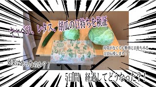 結果発表！キャベツ、レタス、胡瓜保存方法 青果仲卸綜合青果 ひろちゃんねるが詳しくお見せします！ [upl. by Aicirtam335]