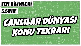 5 Sınıf Fen Bilimleri  Canlılar Dünyası Konu Tekrarı  2022 [upl. by Arrait]