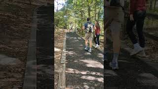 at Tallulah Gorge State park witnessing nature 🍂usa georgia travel trekking [upl. by Nesline]