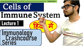 Cells of immune system in Hindi  Immunology lecture 1 [upl. by Musette]