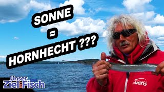 HORNHECHTSAISON OSTSEE  EINFACH FANGEN  Unser Ziel ist Fisch mit Jörg Ovens  Die Angelschule [upl. by Fabriane381]