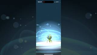 How to evolve Dewpider to Araquanid pokemongo [upl. by Nibram]