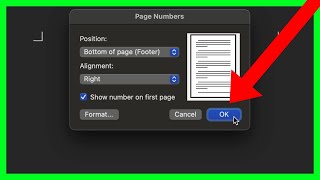 How to Add Page No in Word [upl. by Bedell]