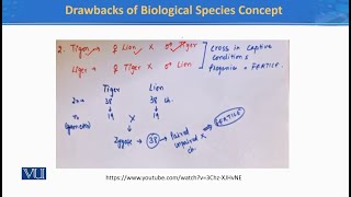 Drawbacks of Biological Species Concept  Principles of Systematics  ZOO511TTopic023 [upl. by Tearle]