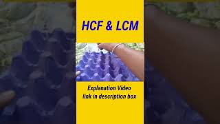 HCFampLCM Activity lcmandhcf lcm hcf mathsactivity Working model of HCF and LCM [upl. by Niac877]