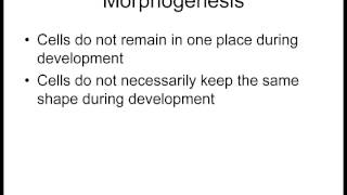 Lecture 1 Differentiation and Morphogenesis [upl. by Sabelle]