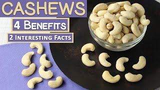 4 Benefits of Cashew Nuts and 2 Interesting Facts [upl. by Lirba]