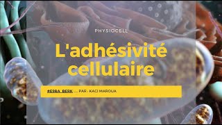 📍 Ladhésivité cellulaire  Physiologie cellulaire E9raberk [upl. by Anderegg]