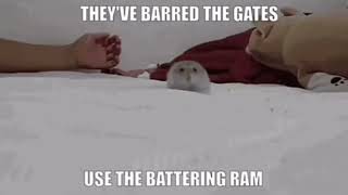 THEYVE BARRED THE GATES USE THE BATTERING RAM [upl. by Eiramoj]