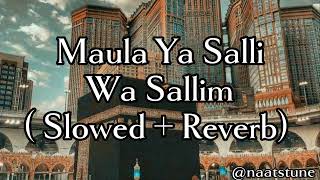 Maula Ya Salli Wa Sallim  slowed amp reverb [upl. by Monroy]