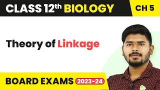 Class 12 Biology Chapter 5  Theory of Linkage  Principles of Inheritance and Variation 202223 [upl. by Ihsorih]