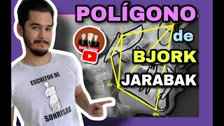 Polígono de Bjork Jarabak 📐🔥 Análisis Cefalométrico BjorkJarabak [upl. by Latoyia]