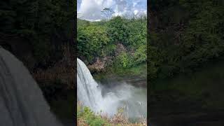 Wailua falls Kauai [upl. by Corbin]