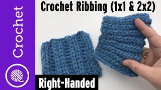 Crochet Rib Stitches 1x1 and 2x2 Ribbing  Mock Knitting [upl. by Giah250]