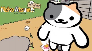 OVERVIEW  Neko Atsume Purrfect Kitty Collector  Part X Gameplay  Meta Quest 3 VR [upl. by Nohsad]