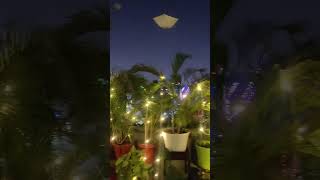 My rooftop garden plamtslighting beautifulyrshorts [upl. by Tomasine411]