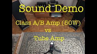 Lavardin ISX Reference vs Willsenton R8  Sound Demo 2 [upl. by Hahnert]