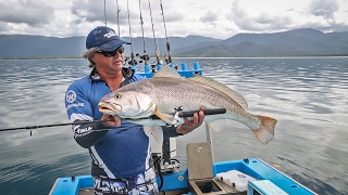 Huge Jewfish on a Fishing Combo [upl. by Onit670]