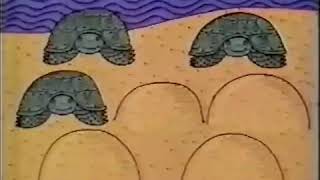 Swedish Number Cartoons 7 Turtles and Man 1981 [upl. by Colbert]