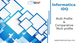 Informatica IDQ  Multi Profile amp Comparative Multi profile  Informatica IDQ Training [upl. by Ecirtnuahs]