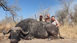 Cape Buffalo hunt in the Caprivi with a 93x62 [upl. by Charil]