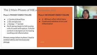 Hypoxic Ischemic Encephalopathy in Critical Care Transport [upl. by Nina954]