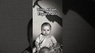 LITTLE ALBERT EXPERIMENT [upl. by Htidirem]