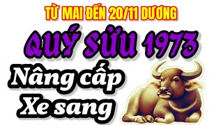 Từ mai đến 2011 dương Quý Sửu 1973 đón vận may khủng nâng cấp xe sang mua nhà đắt giá dễ dàng [upl. by Eveivenej]