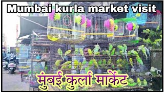 Love birds market  kurla market visit  Mumbai birds market 😍🐦 [upl. by Ecyaj740]